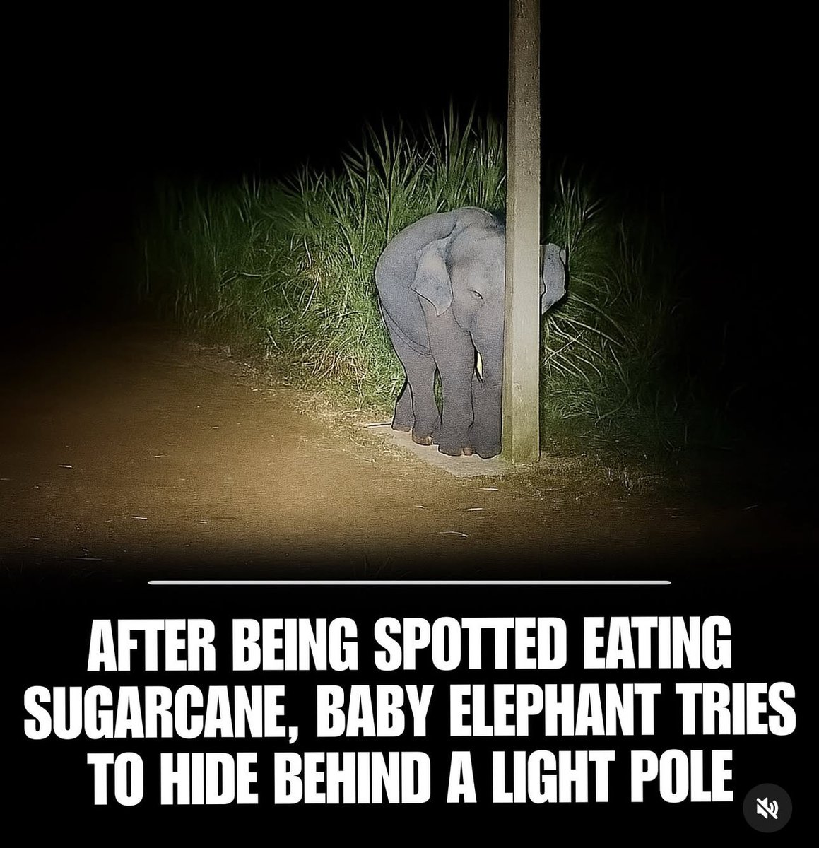 Me when I get caught eating a little midnight snacky snack