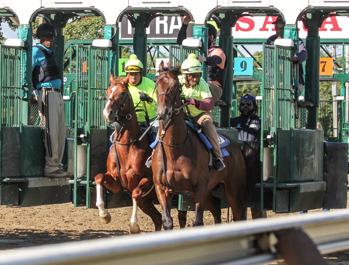 We kick off this special holiday weekend at the Spa with 6 runners:
Flat On - R1
Equus &amp; Toned Up - R2
Saratoga Sizzle &amp; Stirred Up - R4
Thiene - R10
Good luck to the connections!