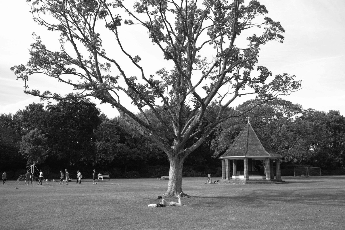 I've been documenting my local park (Florence Park) for two months now, mainly capturing images of some of the characters who frequent said environment. Maybe at the end of the years, I'll publish them all in an exhibition or book form.