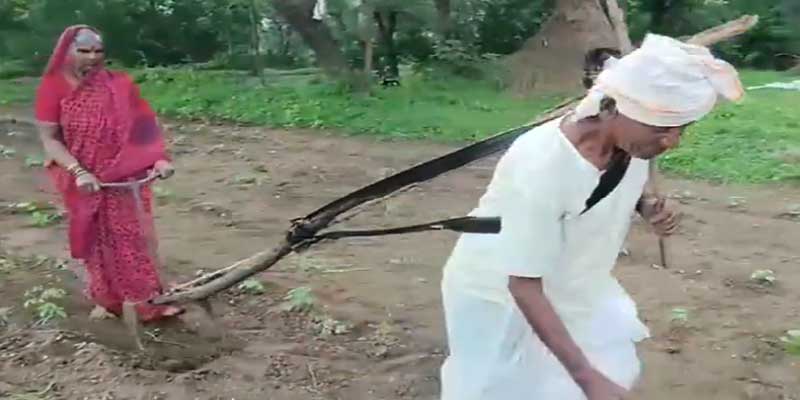 NorthEastnews24's tweet image. Viral Video- Heartbreaking Viral Video of Elderly Latur Farmer Couple Sparks Nationwide Outcry. #viralvideo #farmervideo  #supportfarmer #LaturNews  #maharahstranews

 northeastindia24.com/?p=37729