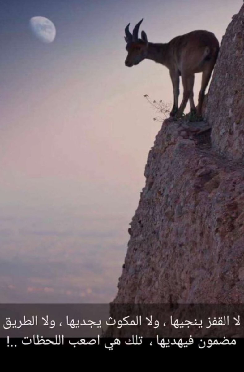 nwnh64343870's tweet image. 