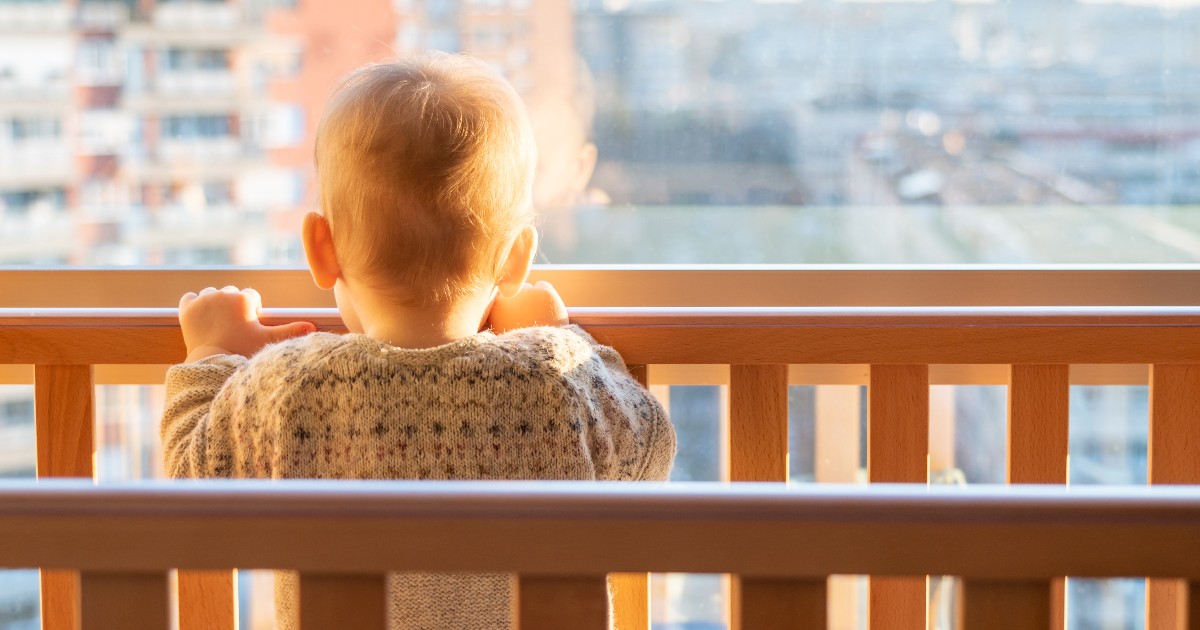 Window Coverings tweet media