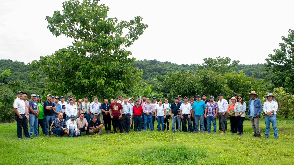 GGGI_CA's tweet photo. En El Salvador 4⃣5⃣ técnicos extensionistas recibieron una capacitación intensiva sobre establecimiento, manejo agronómico y de podas en diversas especies frutales, a través de la alianza con CENTA para fortalecer el establecimiento de sistemas agroforestales en la zona oriental https://t.co/qa0XSipg1U