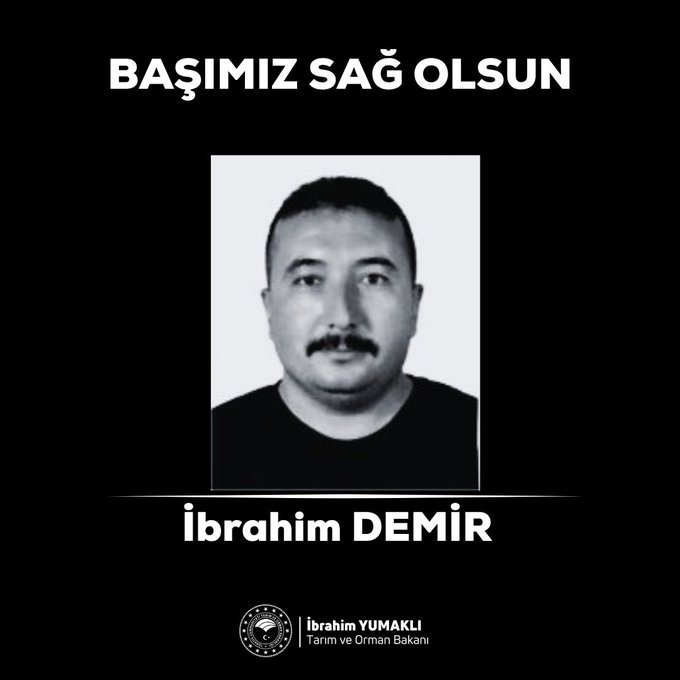 Resim