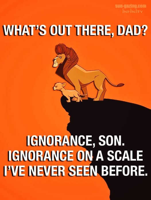 Windy101🇨🇦🇺🇸🇺🇦🐾🐾🐾 (@hey_butter) on Twitter photo 