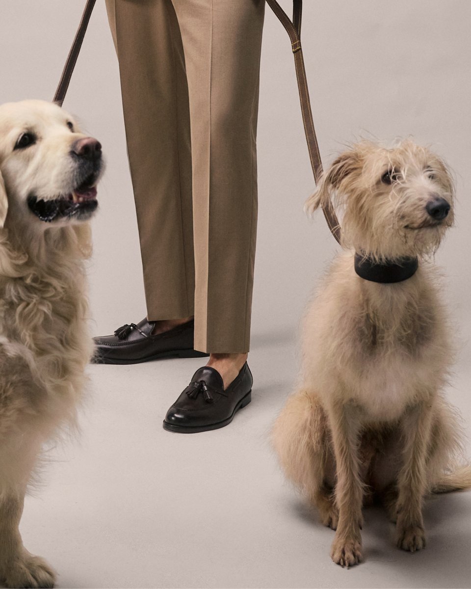 Corneliani in person: Marley and Quentin. ⁠
⁠Not your average style icons – but when paired with soft Italian loafers and perfectly pressed chinos, even their leather leads look elevated.⁠
⁠
#Corneliani #CornelianiInPerson #ItalianStyle #Menswear #SS25 #RealPeople #RealDogs
