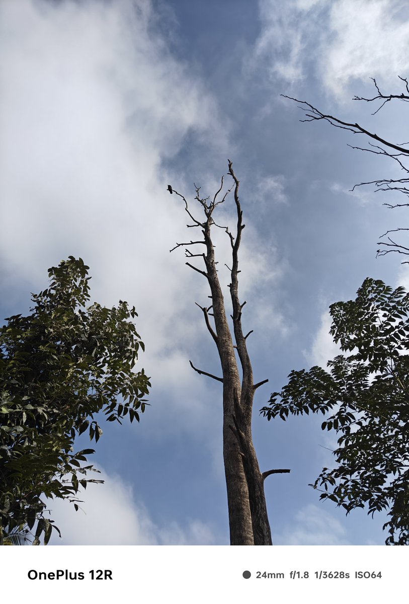 Emon Mukherjee (@emonmukherjee21) on Twitter photo <a href="/mabend2/">Manda Bendre ๐ฎ๐ณ</a> Good morning and good day ๐๐ป
Nature's morning masterpiece...
#theme_pic_India_Morning
#Bangalore <a href="/mabend2/">Manda Bendre ๐ฎ๐ณ</a> Good morning and good day ๐๐ป
Nature's morning masterpiece...
#theme_pic_India_Morning
#Bangalore