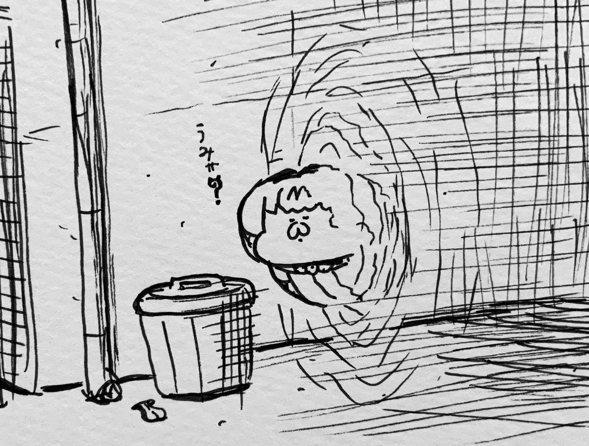 ゲートを発見したサーバルちゃん 