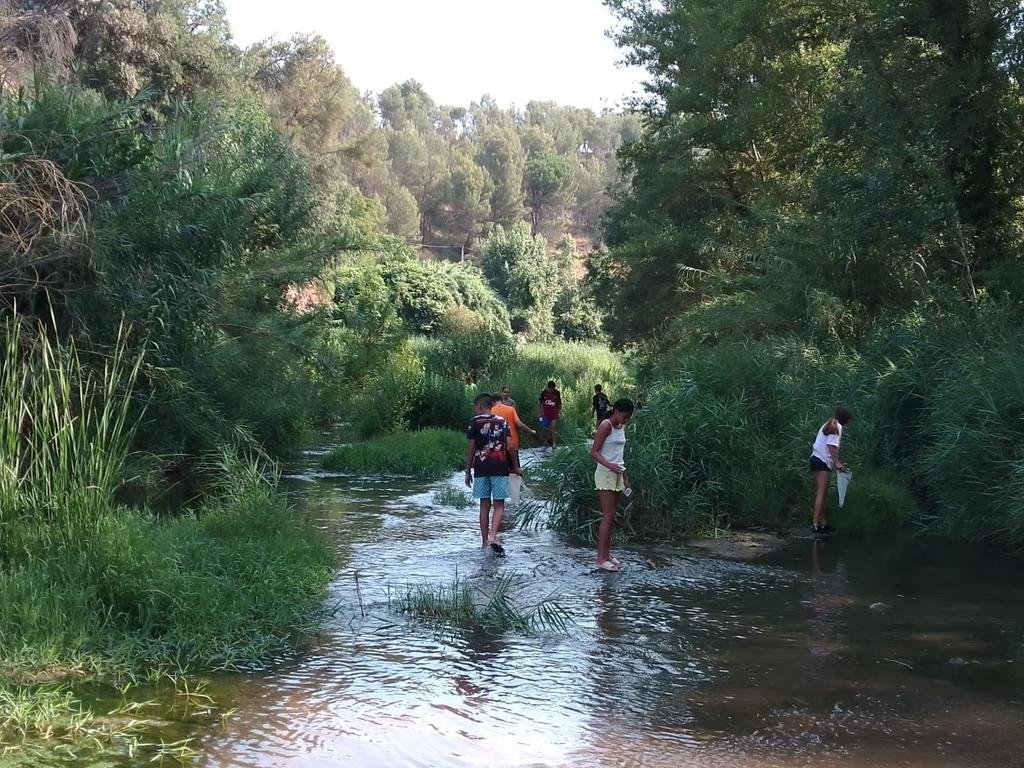 bnavarclessv's tweet image. Matinal #LlegimelRiu, molt ben acompanyats per 3 biòlogues, i un grup molt motivat 😍
Gràcies a unes fantàstiques lupes hem pogut esbrinar qui eren els diversos macroinvertebrats fluvials trobats i així conèixer l'estat del riu 🐛  #Calders #Llobregat #RiuAPP 
Gràcies @GaiaGuies!