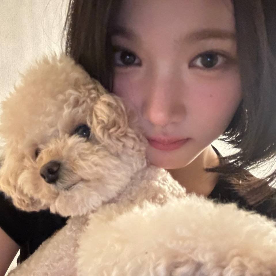 choijiwoopics's tweet photo. 🐶😚 https://t.co/u91maidTvn