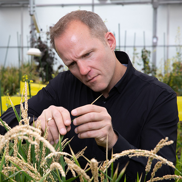 Salk Professor Wolfgang Busch has received the NOMIS Distinguished Scientist and Scholar Award. Busch is honored as an "[exceptional scientist] whose innovative ideas and approaches involve interdisciplinary collaboration and apply a broad range of methods, building bridges