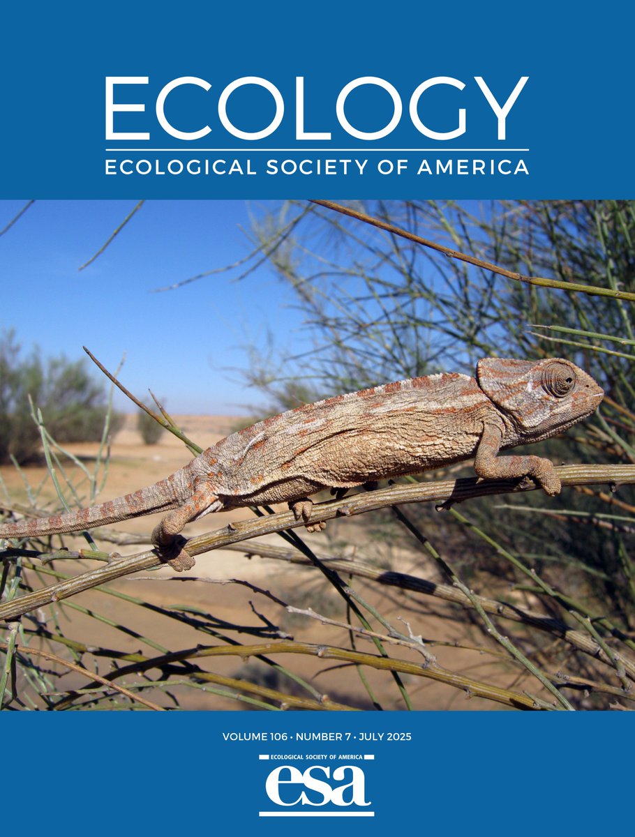 New month, new journal issue! And this July issue's cover features a chameleon whose bizarre life history is remarkably similar to periodical cicadas

See the full issue here: esajournals.onlinelibrary.wiley.com/toc/19399170/2…
