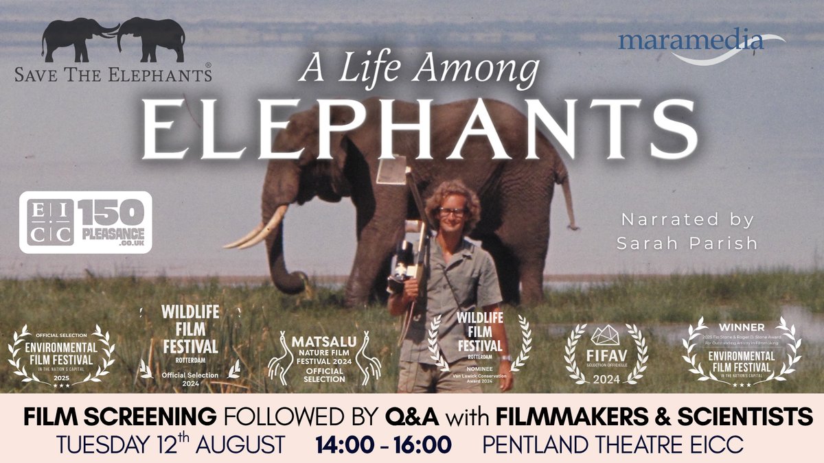 ste_kenya's tweet photo. Legendary scientist Dr. Iain Douglas-Hamilton has spent 60 years giving elephants a voice. Now, his extraordinary story comes home. 🏴󠁧󠁢󠁳󠁣󠁴󠁿

Don’t miss the Scotland premiere of A Life Among Elephants this World Elephant Day (Aug 12) at #EdFringe!
 
🎟️ Tickets: https://t.co/34EujdtMY3 https://t.co/CPdfKWy1HZ