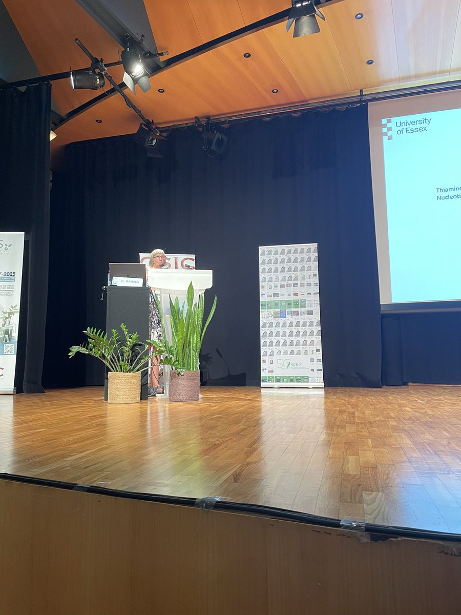 Terrific talk by Christine Raines about biotechnologic strategies to improve photosynthesis and biomass production in crops #IberianPlantBiology2025