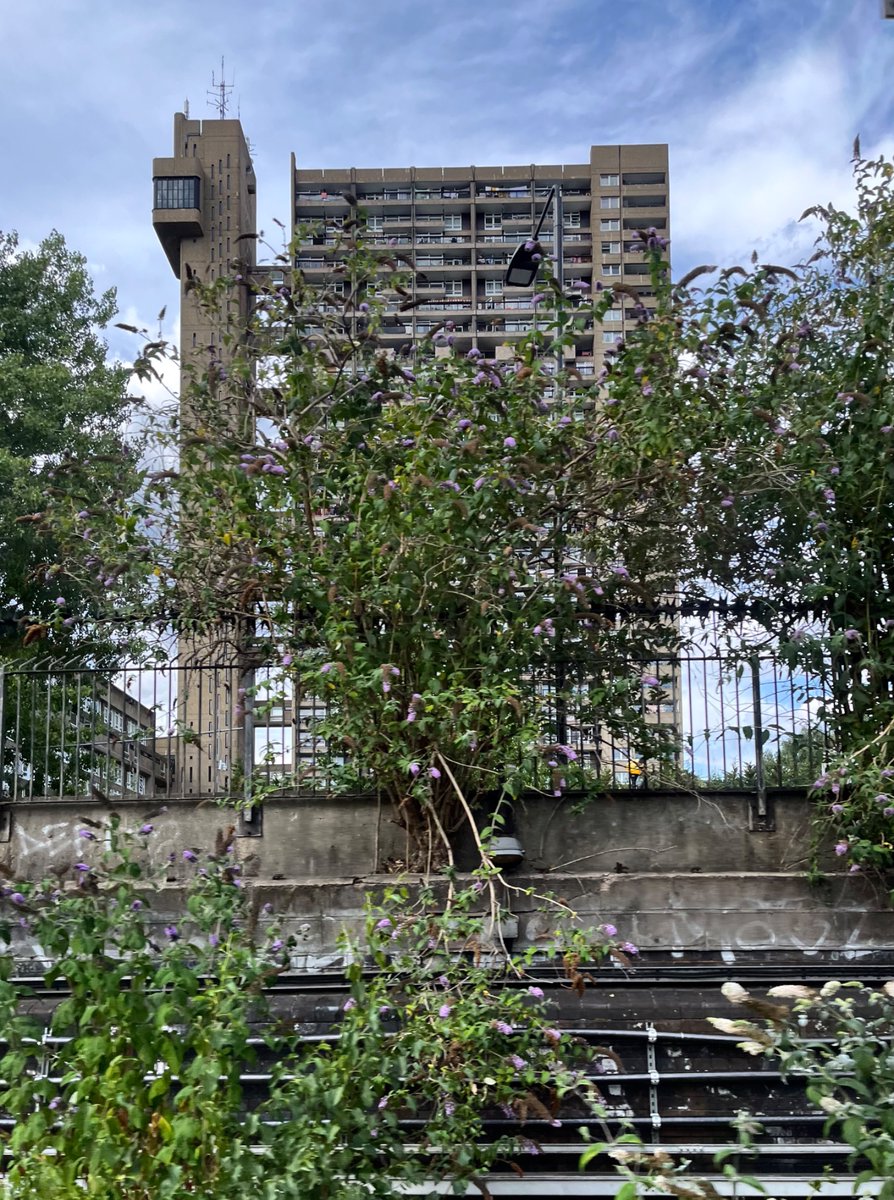 jon_cooper75's tweet image. Trellick Tower W10, camouflaged…
