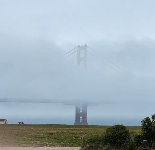 ECD is querying tweet media