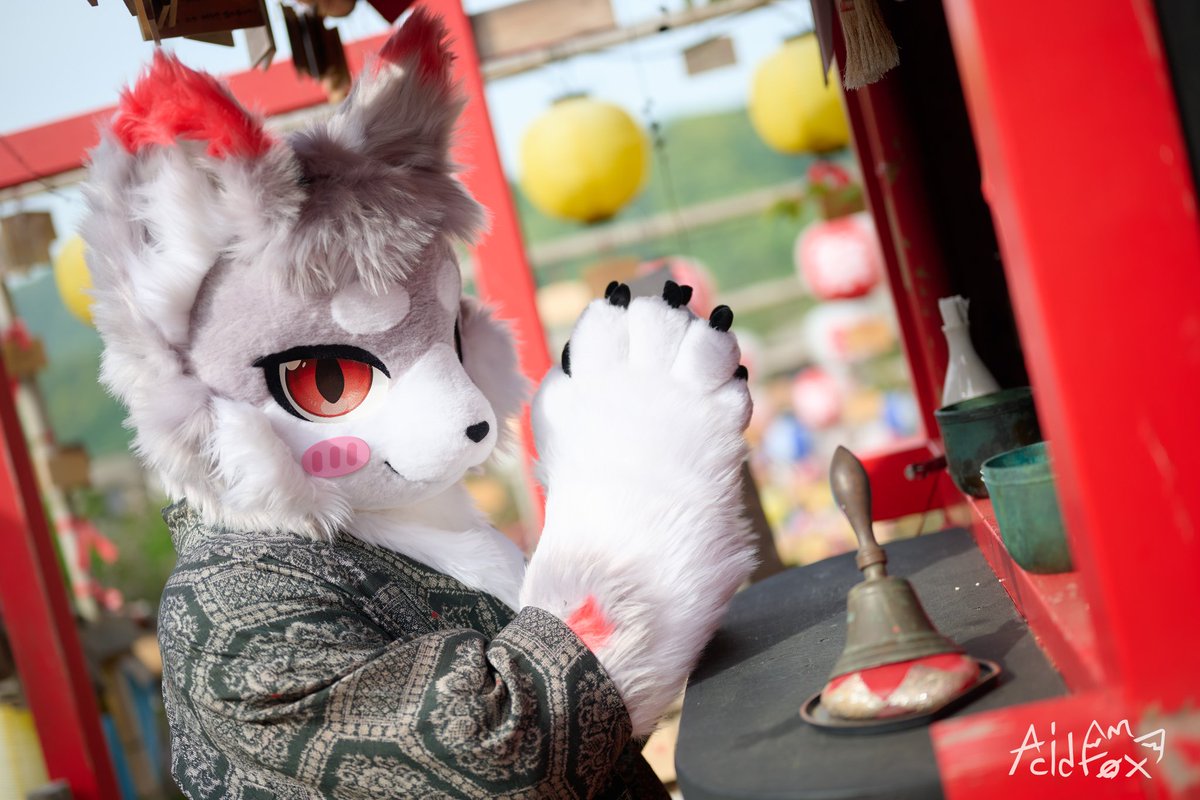 모두가 행복하길 기도해요🙏
#FursuitFriday 📸<a href="/_f0x15/">산여우 AcidF0x</a>
