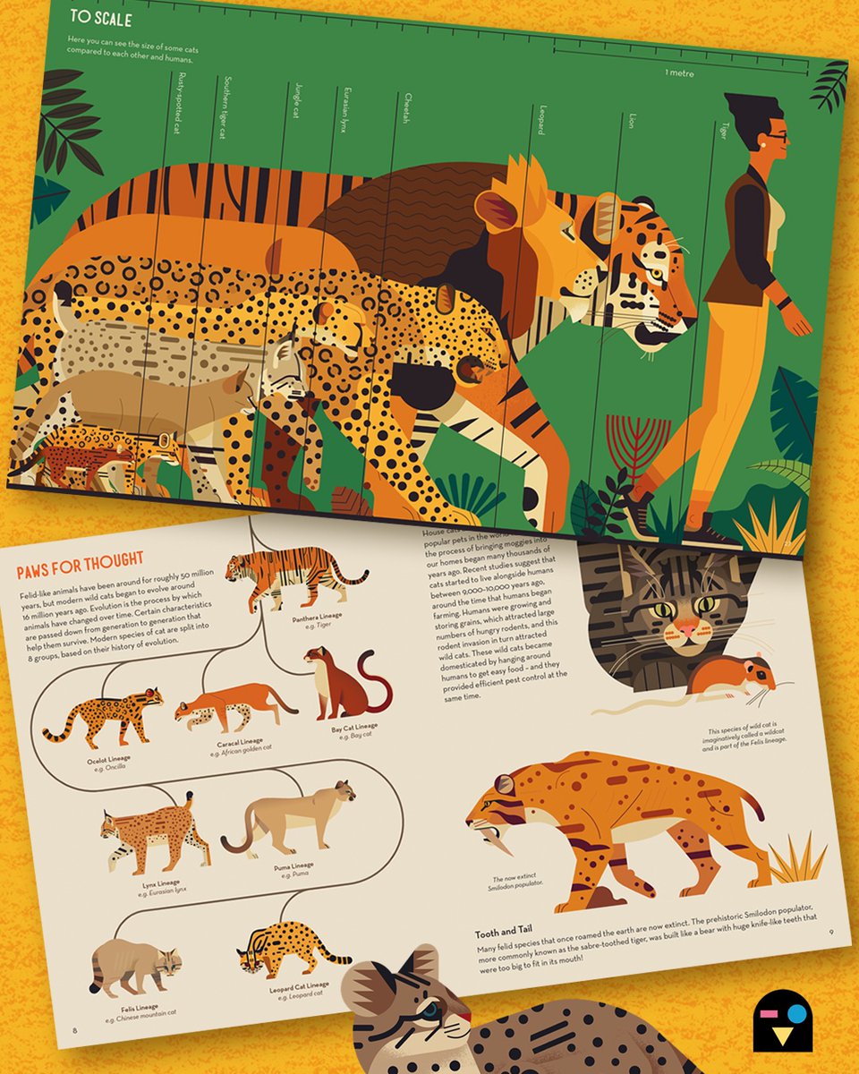 🐯 Out today! Crazy About Cats by Owen Davey - now in paperback!
flyingeyebooks.com/book/crazy-abo…

This captivating and stunningly illustrated guide will teach you everything you need to know about our feline friends.