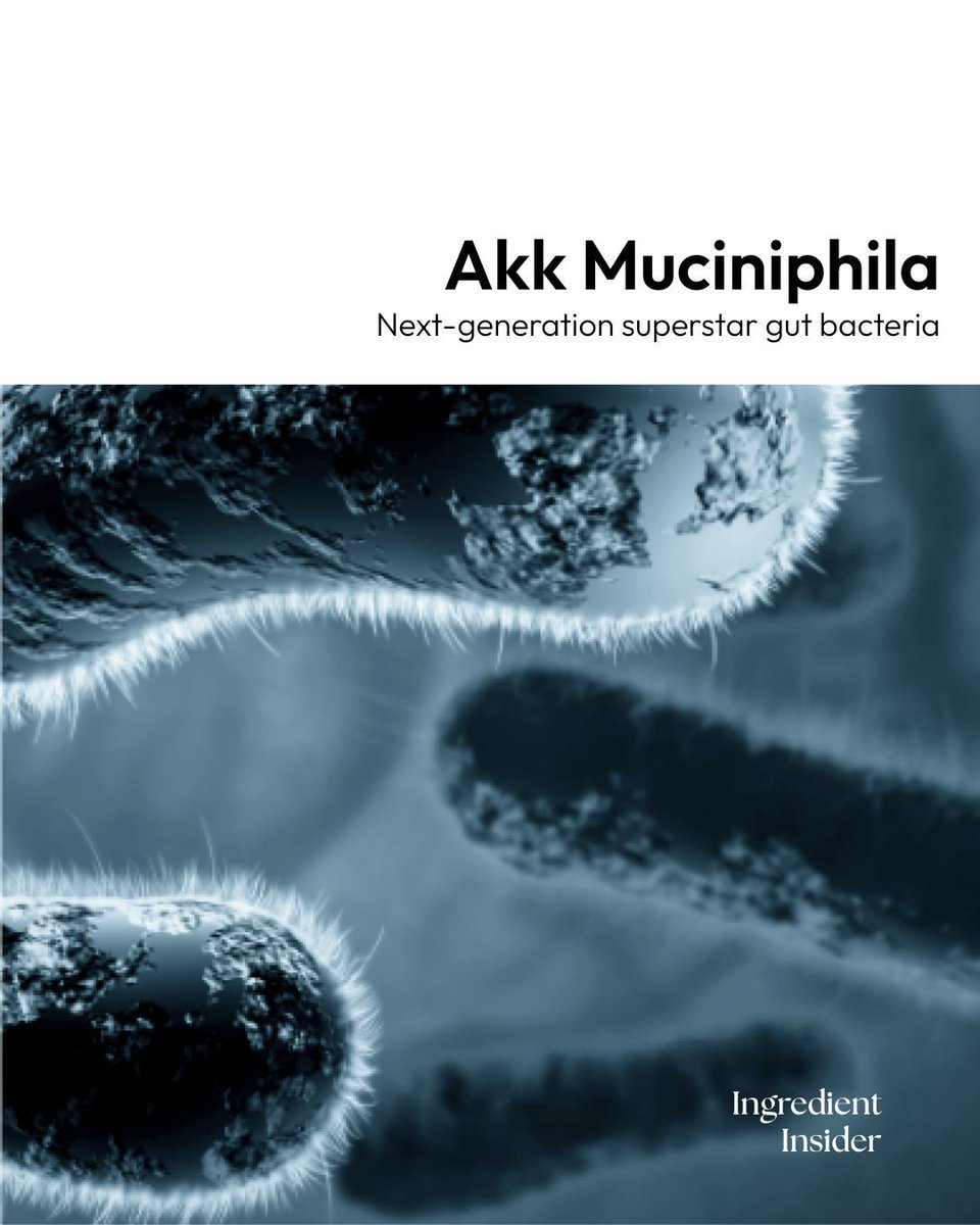 BIGVITAofficial's tweet photo. Not all bacteria are bad — some help you burn fat!
Meet Akkermansia: the gut-friendly microbe linked to better metabolism, appetite control, and even a leaner body.
Now in BIGVITA SLIM+ — real science for real results.
#GutHealth #MetabolicSupport #Akkermansia #BIGVITA https://t.co/7s89tkWBy5