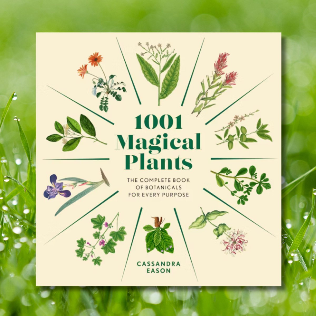 Union Square & Co. (@unionsqandco) on Twitter photo Discover the ancient magic of plant medicine 🌿✨ In 1001 Magical Plants, Cassandra Eason blends lore and science into a beautiful, practical guide to herbal healing packed with rituals, remedies, and rich symbolism. Available July 22! bit.ly/4ewLScD Discover the ancient magic of plant medicine 🌿✨ In 1001 Magical Plants, Cassandra Eason blends lore and science into a beautiful, practical guide to herbal healing packed with rituals, remedies, and rich symbolism. Available July 22! bit.ly/4ewLScD