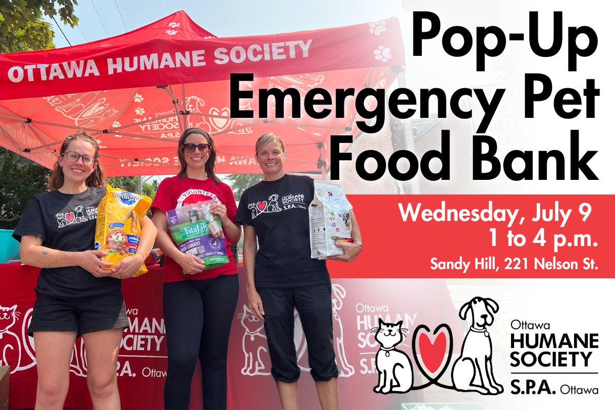 We will be hosting a pop-up Emergency Pet Food Bank on Tuesday, July 9 in Sandy Hill! 

Pet owners in need can stop by 221 Nelson St. (Outside the Sandy Hill Community Health Centre), from 1 to 4 p.m. to receive free pet food, treats, supplies and pet care information.