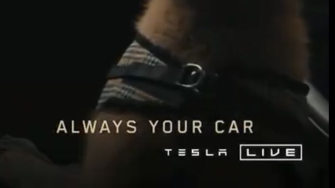 You will be able to have the same Robotaxi for as long as you want, just like Turo, and you can choose one to fit your needs (Cybercab for solo trip, Y for family trip, Cybertruck for projects)

Key point from the 10/10 presentation: "Always your car".