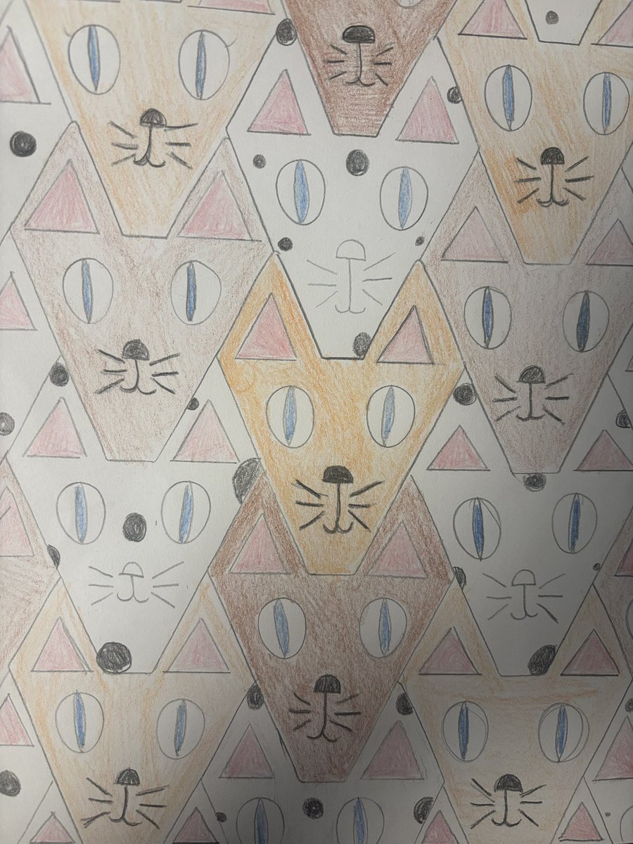 Broomfields Junior tweet media