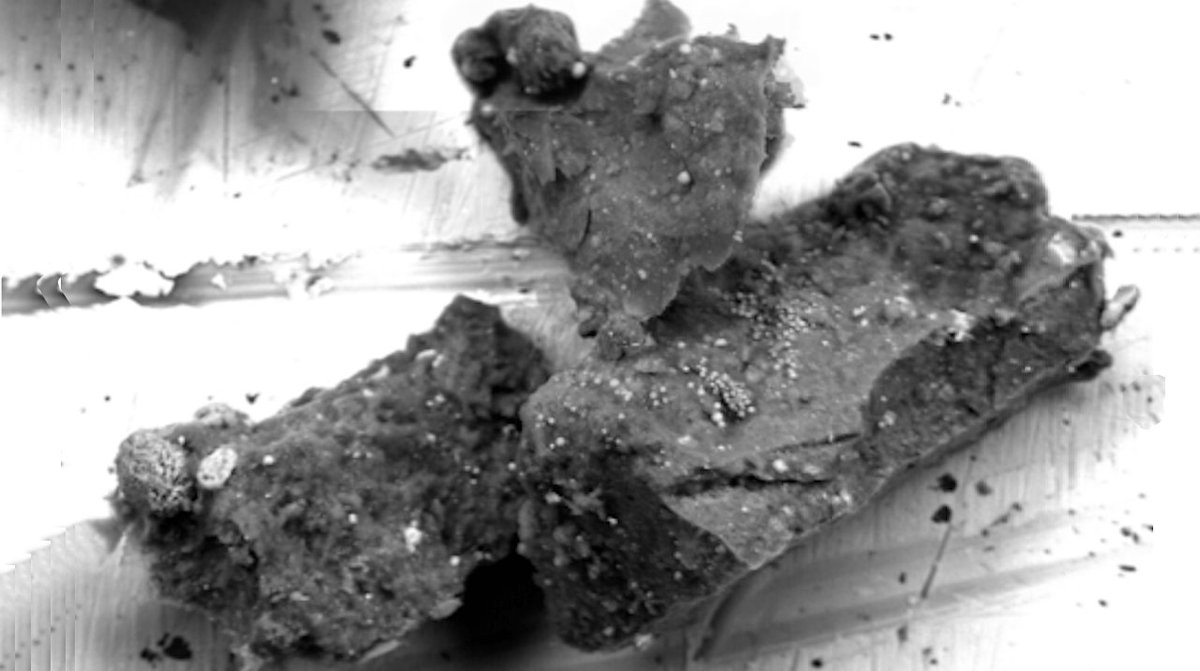 An Unexpected Mineral Discovered In A Grain Of Asteroid Ryugu
astrobiology.com/2025/07/an-une… #astrobiology #astrogeology #astrochemistry #asteroid