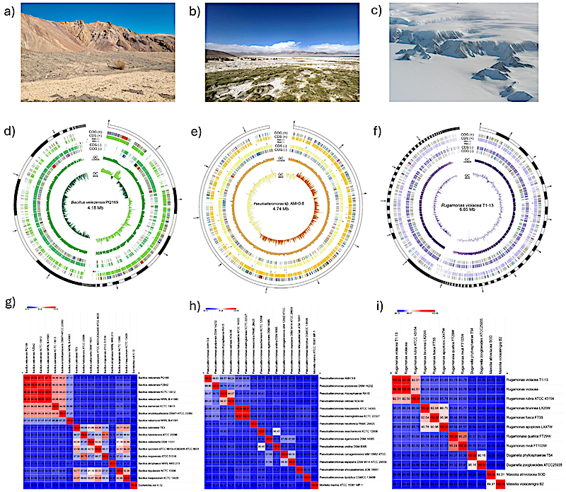 Adapting to UV: Integrative Genomic and Structural Analysis in Bacteria from Chilean Extreme Environments
astrobiology.com/2025/07/adapti… #astrobiology #microbiology #extremophile
