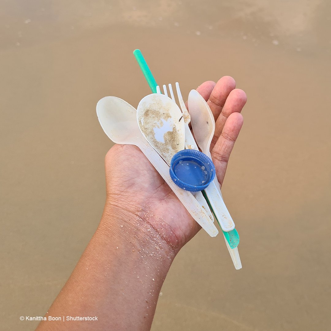 La Ley de Plásticos de nuestro país (Ley N° 30884), una de las más ambiciosas de Latinoamérica, se encuentra vigente desde el 20 de diciembre de 2018. Sin embargo, el <a href="/MINPRODUCCION/">Ministerio de la Producción</a> aún no concluye su reglamentación. Esto ha traído como consecuencia que no pueda ejecutarse en