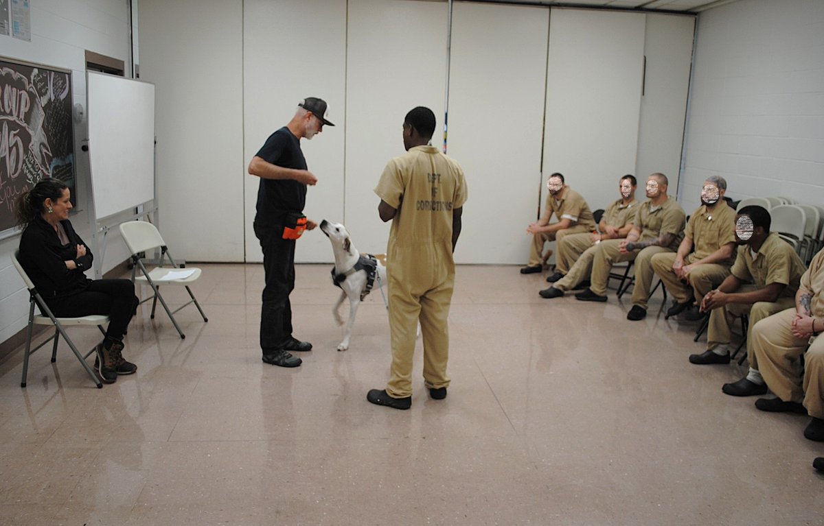 distevhass31's tweet image. Group 46 - K9wise meeting the new dogs! @GA_Corrections @GAFirstLady @CLALeadership @jeffbreedlove1 @Recovery_GC4R @endthewhisper @JellyRoll615