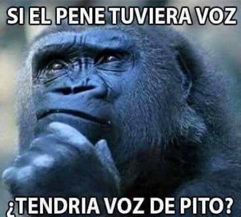 Ana_LaPatata (@ymuchosmemes) on Twitter photo 