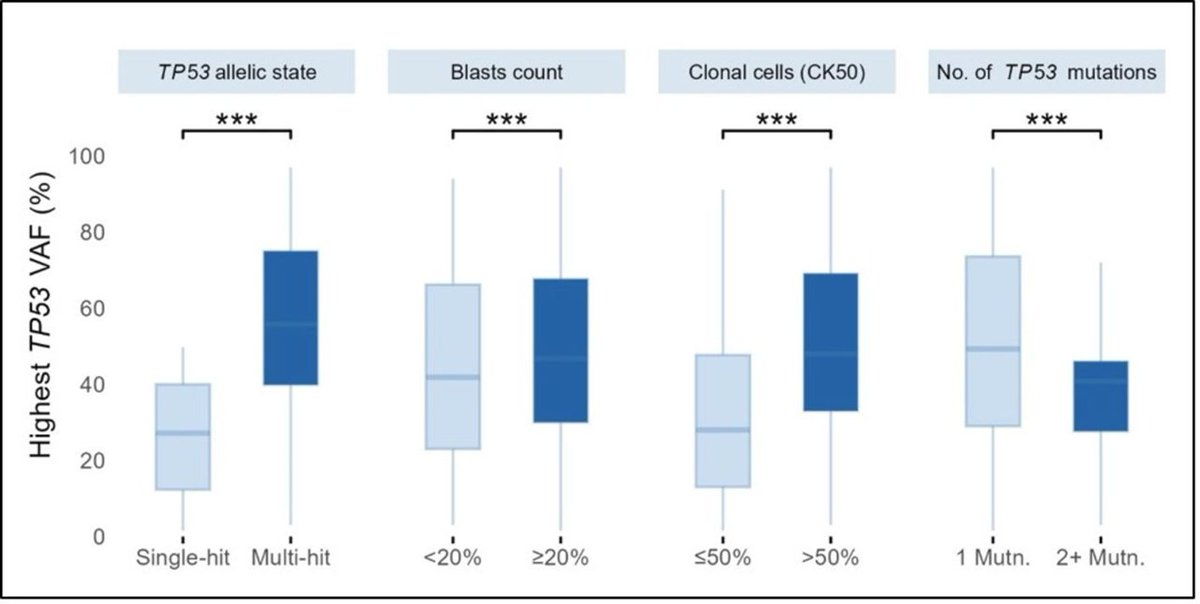 TalhaBadarMD's tweet image. Karyotypic clonal fraction predicts adverse outcome in TP53-mutated myeloid neoplasms: an International TP53 investigators Network (iTiN) study jcp.bmj.com/content/early/… 

Happy to contribute to this paper led by Dr. Girish Venkataraman from University of Chicago, analyzing clonal…