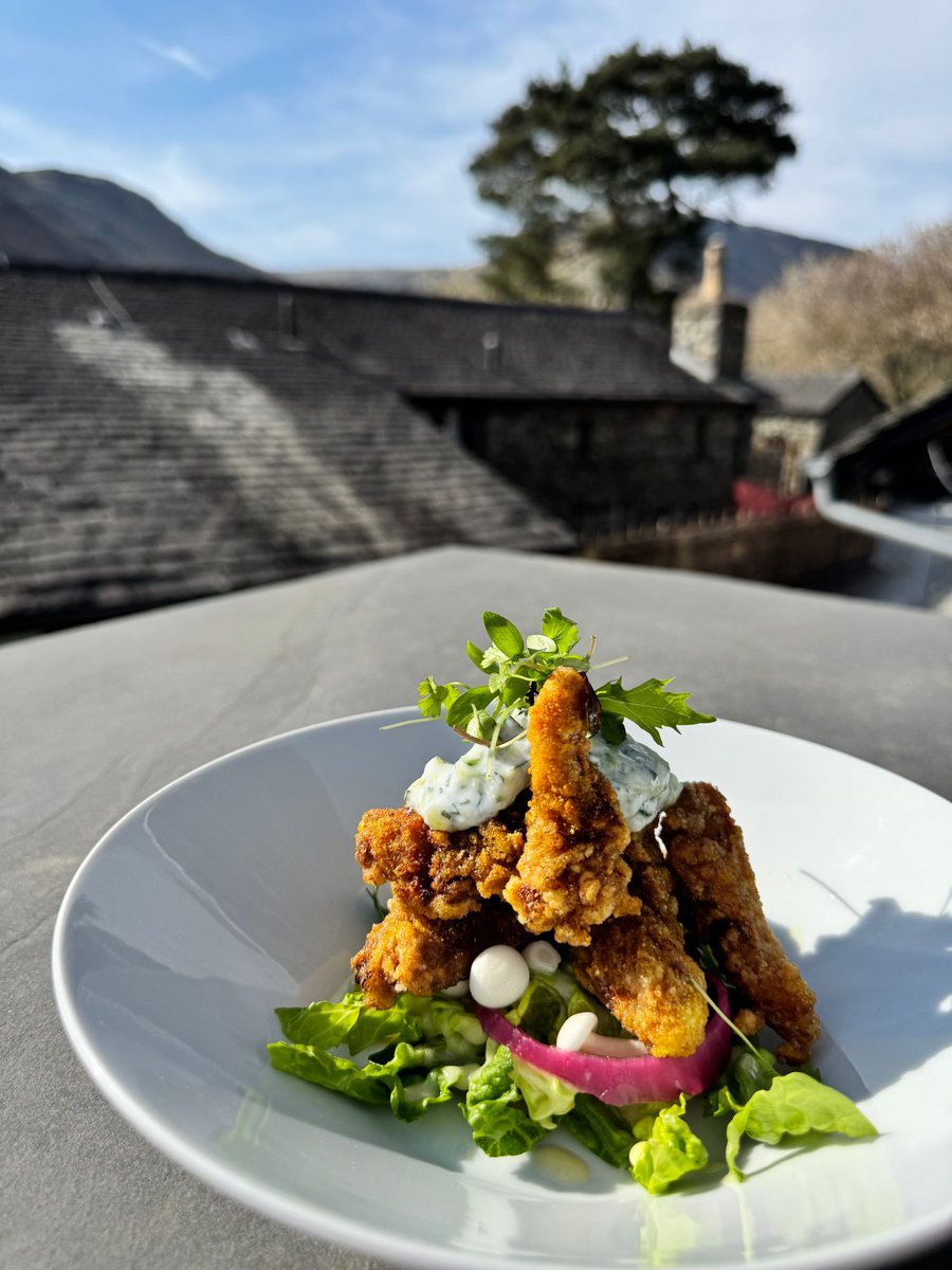 TIKKA CHANCE ON ME 🍄
Crispy, spicy, deep-fried mushroom magic with raita and pickle on the side.
It’s bold, it’s banging, and it ain’t mushroom for improvement.
#StarterWithAttitude #TikkaChanceOnMe #TheYanKitchen #CrispyGoals