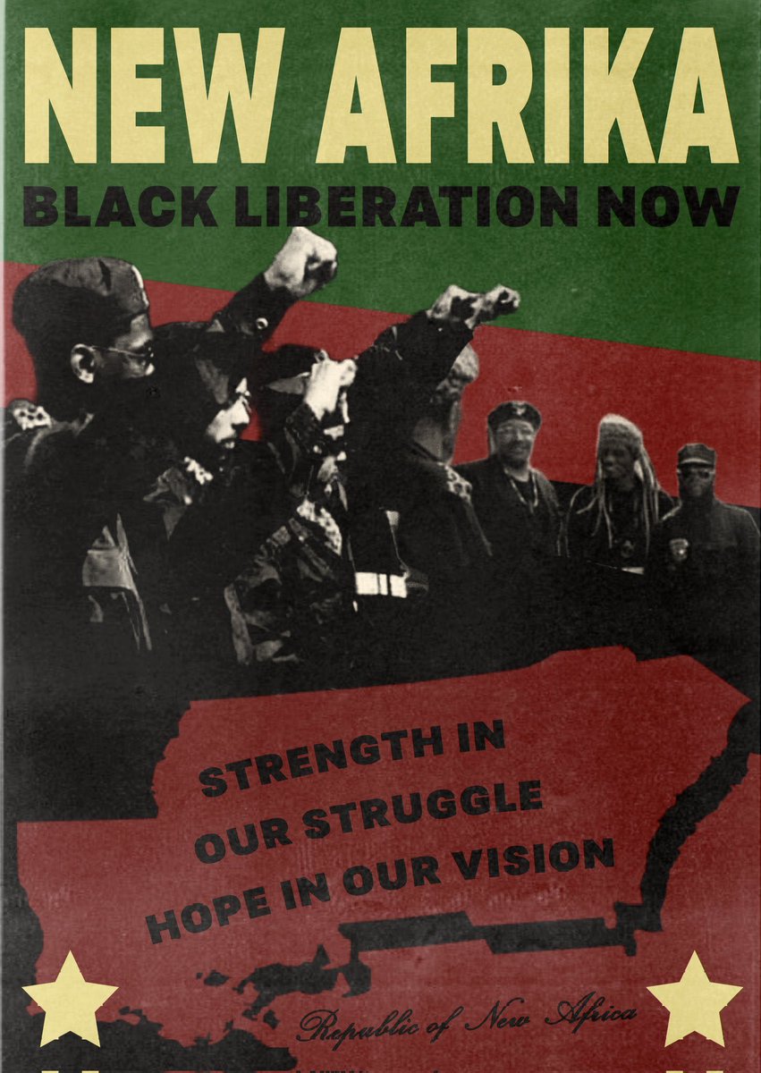 NewAfrikanRevo's tweet image. Thread of threads we’ve posted 🔻
FREE THE LAND!!!
Poster: @froggydamane