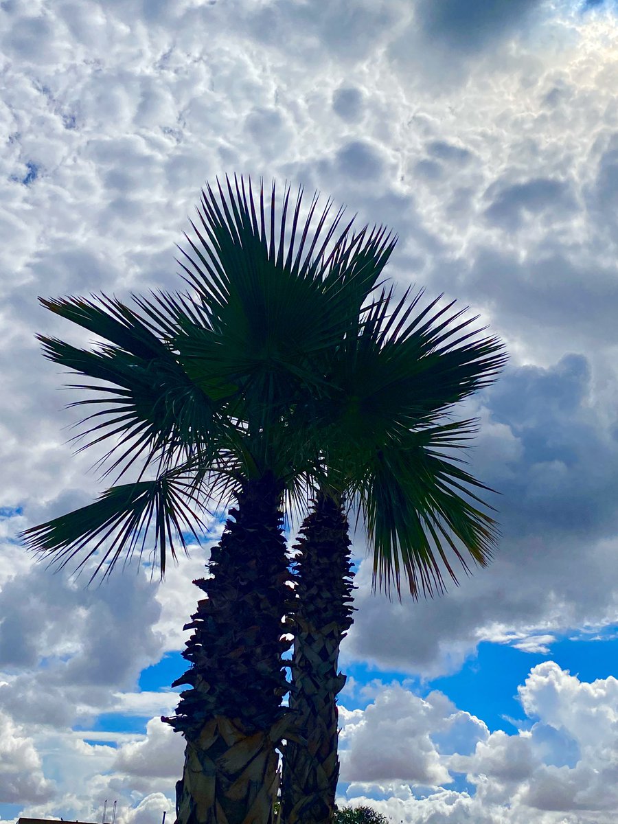 Chipper24's tweet image. Slim chances but I would not mind if we receive more rain today in Las Cruces.