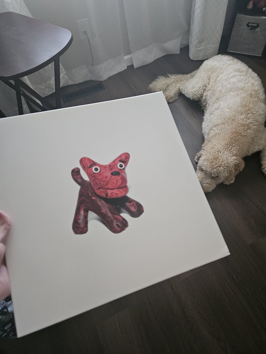 PEAK HAS ARRIVED!!! (And I told the dog about it)
#DontTellTheDog