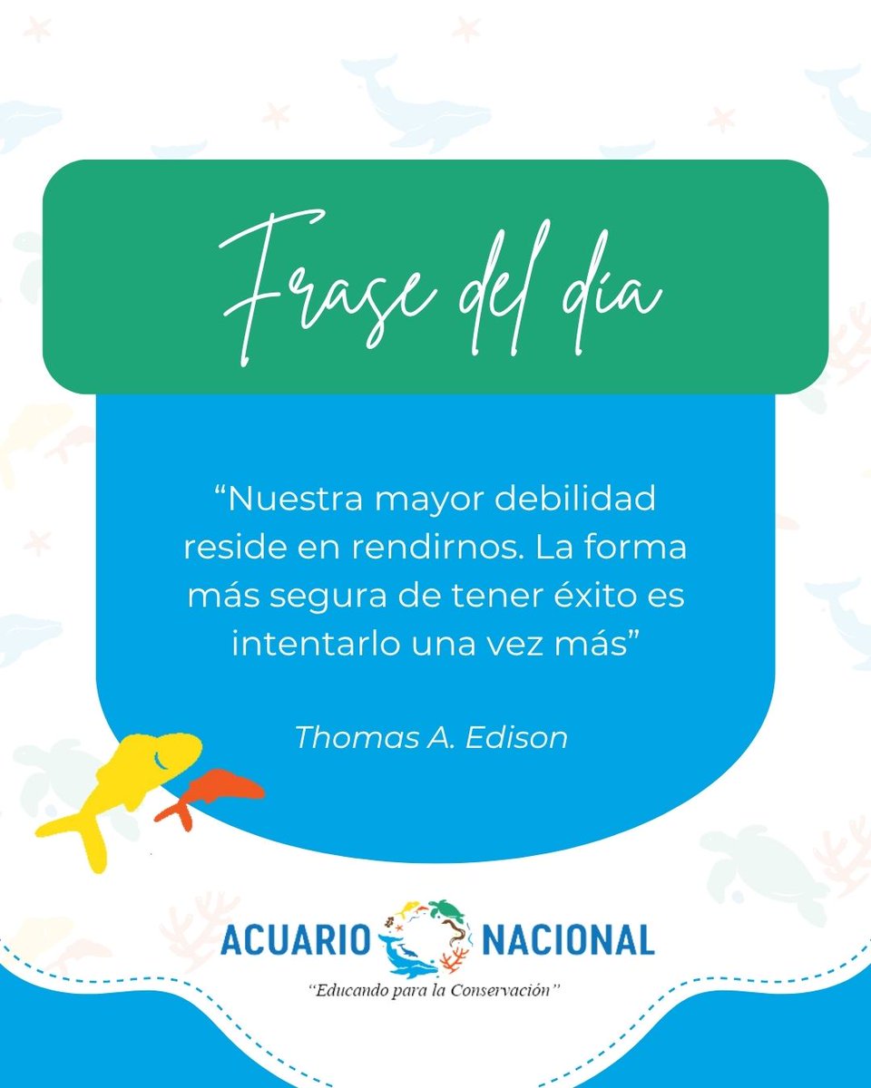 ¡𝓕𝓮𝓵𝓲𝔃 𝓲𝓷𝓲𝓬𝓲𝓸 𝓭𝓮 𝓼𝓮𝓶𝓪𝓷𝓪! ✨🌟

☀️ Frase del día:

“Nuestra mayor debilidad reside en rendirnos. La forma más segura de tener éxito es intentarlo una vez más” - Thomas A. Edison