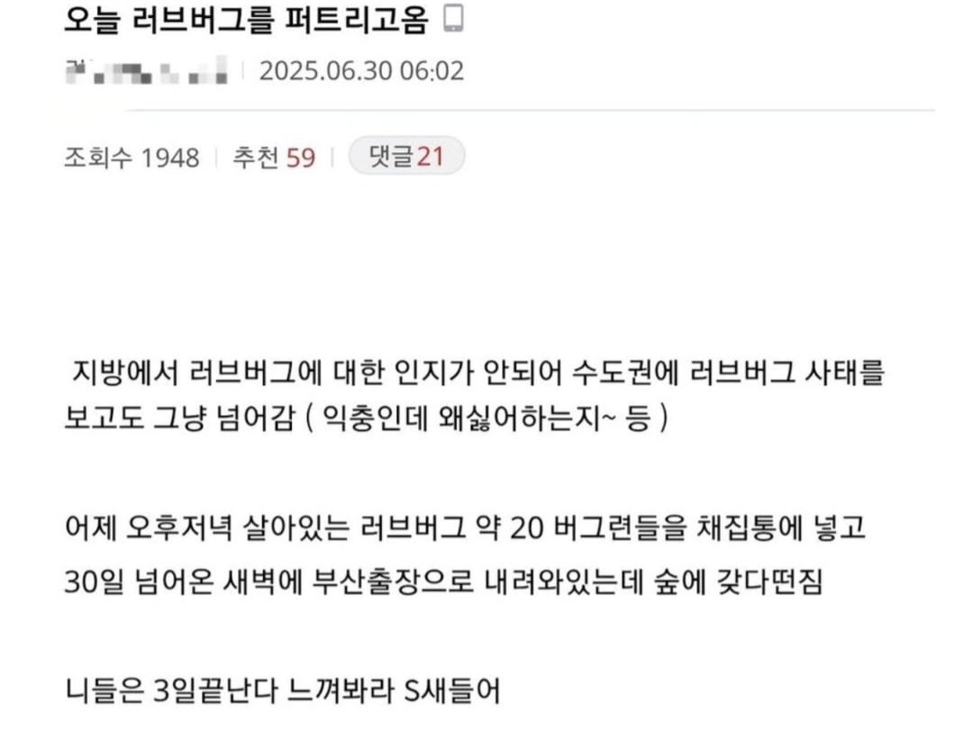 gobang_00's tweet image. 