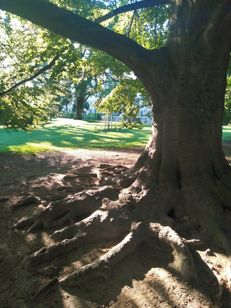 "Le ceneri di Gramsci" de Pier Paolo Pasolini:

Ma io, con il cuore cosciente
di chi soltanto nella storia vuole
vivere, potrei mai, da ora in poi, agire
con pura passione, sapendo che la nostra storia è finita?

(📸 uno de mis parques favoritos en Viena)