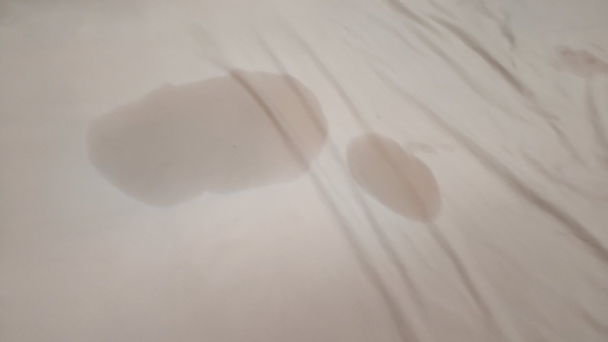 有一个在情趣公司当高管的爸爸，体验就是一旦有新品，我就会半夜起来换床单………救命🆘太上头了，疯狂磕头求爸爸插进来，又热又烫，水根本兜不住就喷出去了啊啊啊太极致了。 #母狗 #sm #做爱