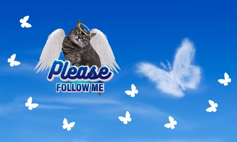 ampincivero's tweet image. Please follow me on Bluesky too, my backup Twitter.
(Just in case this site, you know, IMPLODES or sumn.)
🦋 #Bluesky #PleaseFollowMe #IFollowBack 
bsky.app/profile/ampinc…