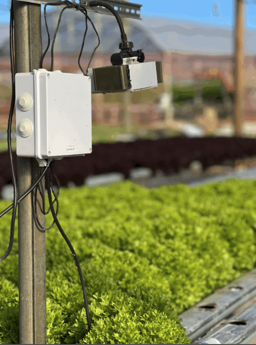 funespy's tweet photo. Could generative models produce food? That’s what we’re finding out at Agrobeat.