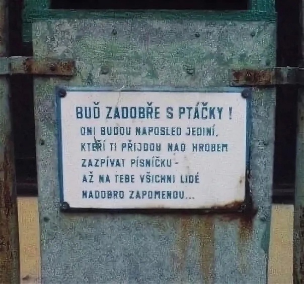 «Бyдь дoбр к птицам. Они единственные, кто будет петь у твоей могилы, когда о тебе все забудут».
Надпись, которую разместили на одной из кормушек в Чехии.