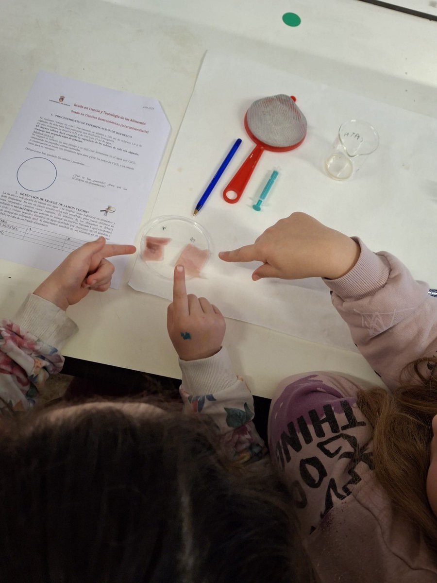 AltesaTecnofood's tweet photo. 🔬👃🍬 Exploramos el mundo de los alimentos con los más peques de #FREETIME Escuela Activa:

✅ Prueba triangular
✅ Reconocimiento de olores
✅ Esferificaciones de refrescos
✅ Detección de fraude en jamón

🧪 ¡Y una ginkana de laboratorio llena de ciencia y diversión! https://t.co/JEr5XozqQa