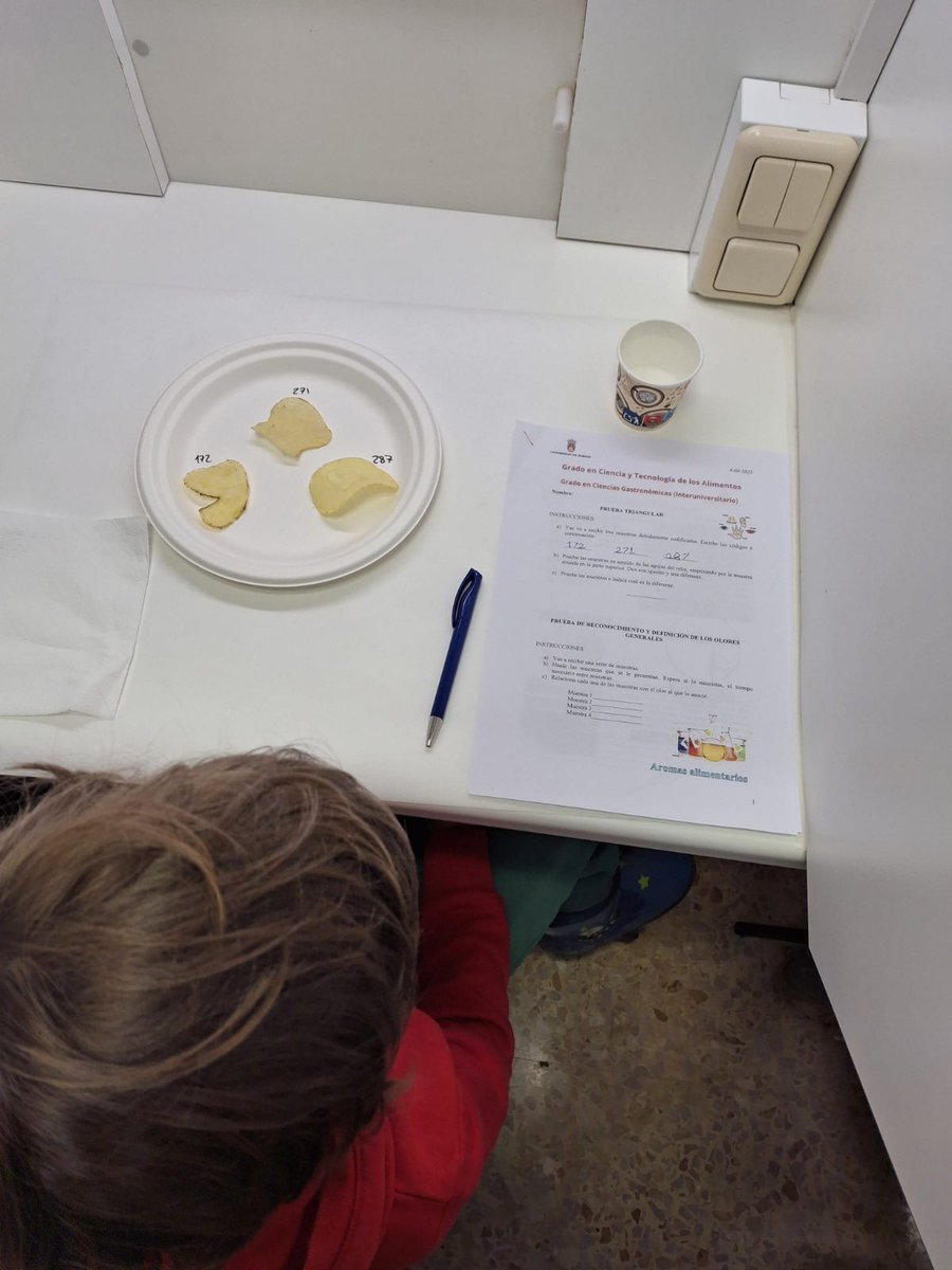 AltesaTecnofood's tweet photo. 🔬👃🍬 Exploramos el mundo de los alimentos con los más peques de #FREETIME Escuela Activa:

✅ Prueba triangular
✅ Reconocimiento de olores
✅ Esferificaciones de refrescos
✅ Detección de fraude en jamón

🧪 ¡Y una ginkana de laboratorio llena de ciencia y diversión! https://t.co/JEr5XozqQa