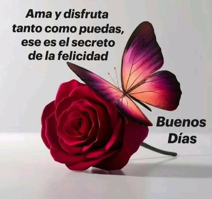 awA83d's tweet photo. Pase por acá para dejarles un saludito cargado de buenas vibras.🙌🏽🫶🏻😘 https://t.co/Okn3FmcWN1