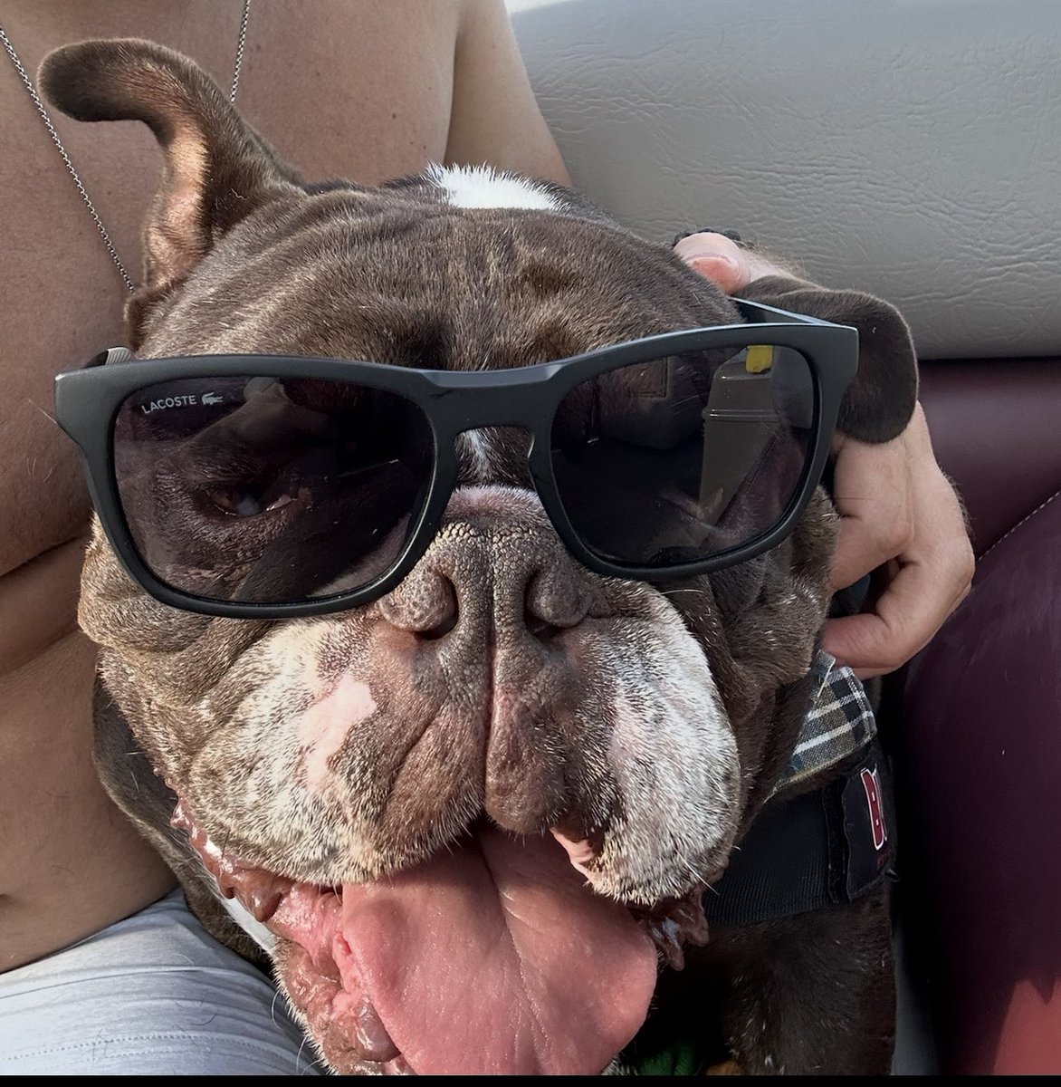 Sup ladies and gents. 😎