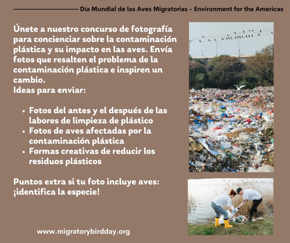 🌎📸 ¡Sé la solución a la contaminación por plásticos!

Juntos, podemos inspirar el cambio y proteger la naturaleza. ¡Envía tu foto hoy mismo y ayúdanos a difundir el mensaje!

Envíala a loom.ly/7H299Y4

#ContaminaciónPlástica #LasAvesImportan