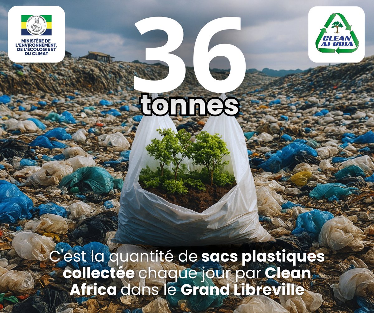 Stanislas Stephen MOUBA tweet media